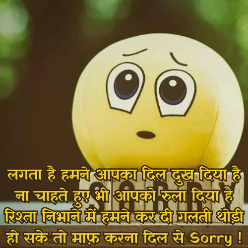 Hurt Sorry Shayari