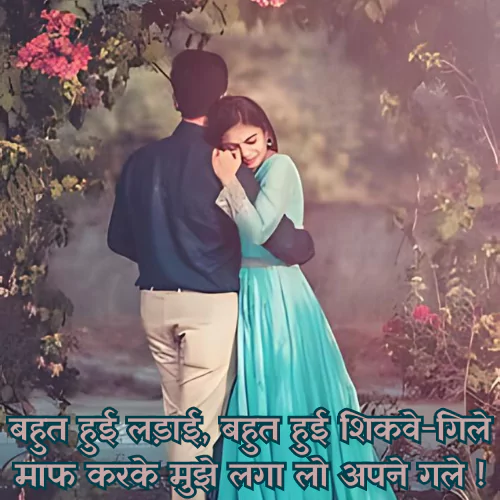 Love True Love Sorry Shayari